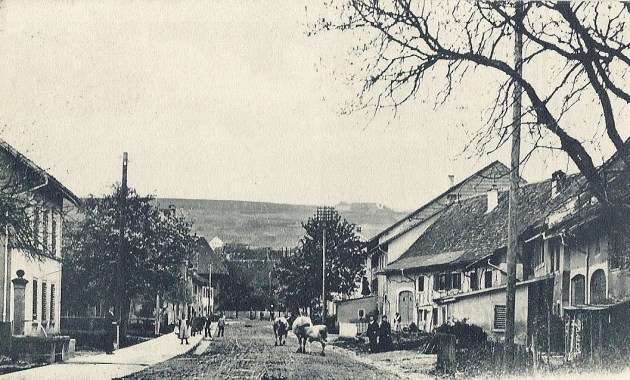 Bildbeschreibung1
